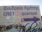 Cretaquarium (Meeresaquarium) - Insel Kreta foto 3
