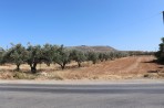 Gournes - Kreta foto 21