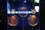Cretaquarium (Meeresaquarium) - Insel Kreta foto 9