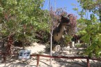 Dinosauria Park - Insel Kreta foto 31