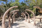 Dinosauria Park - Insel Kreta foto 32