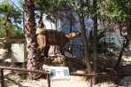 Dinosauria Park - Insel Kreta foto 35