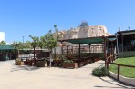 Dinosauria Park - Insel Kreta foto 43