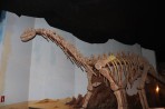 Dinosauria Park - Insel Kreta foto 5