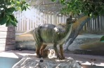 Dinosauria Park - Insel Kreta foto 7
