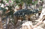 Dinosauria Park - Insel Kreta foto 11