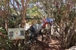 Dinosauria Park - Insel Kreta foto 15