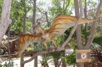 Dinosauria Park - Insel Kreta foto 20