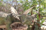 Dinosauria Park - Insel Kreta foto 22