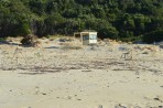 Marathonisi (Schildkröteninsel) - Insel Zakynthos foto 24