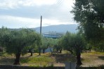 Natur auf der Insel Zakynthos foto 13