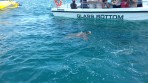 Marathonisi (Schildkröteninsel) - Insel Zakynthos foto 7