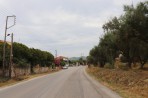 Agios Dimitrios - Insel Zakynthos foto 6
