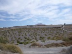 Santo Horse Riding - Insel Santorini foto 3