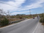 Santo Horse Riding - Insel Santorini foto 5