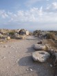 Alt-Thera (Archäologische Fundstätte) - Santorini foto 36