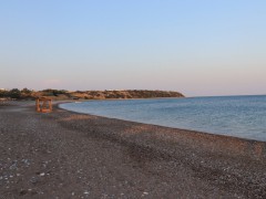 Lachania