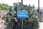 Mandriko - Insel Rhodos foto 1