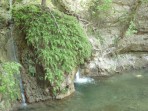 Tal der Schmetterlinge (Petaloudes) - Insel Rhodos foto 17