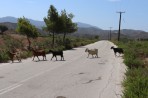 Natur auf der Insel Rhodos foto 6