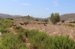 Natur auf der Insel Rhodos foto 8