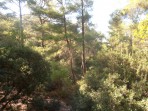 Sieben Quellen (Eptá Pigés) - Insel Rhodos foto 38