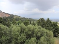 Natur