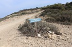 Cavo Paradiso Strand - Insel Kos foto 1