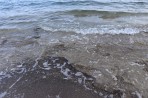 Chryssi Akti Strand (Golden Shore) - Insel Kos foto 6
