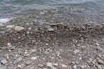 Thermes Strand - Insel Kos foto 8