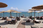 Turtle Strand - Insel Kos foto 16