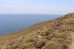 Agios Fokas - Insel Kos foto 3