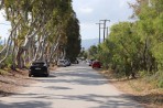 Lambi - Insel Kos foto 4