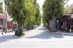 Lambi - Insel Kos foto 23