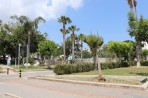 Kos Stadt - Insel Kos foto 7