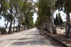 Psalidi - Insel Kos foto 3