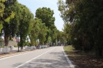 Psalidi - Insel Kos foto 5