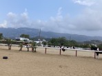 Erikas Horse Farm - Insel Kos foto 8