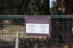 Hauptstadt Kos - Insel Kos foto 14