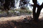 Hauptstadt Kos - Insel Kos foto 15