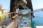 Hauptstadt Kos - Insel Kos foto 13