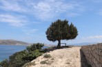Insel Plati foto 11