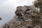 Dikeos-Gebirge - Insel Kos foto 8