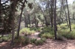 Plaka Forest Tierpark - Insel Kos foto 17
