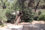 Plaka Forest Tierpark - Insel Kos foto 19