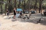 Plaka Forest Tierpark - Insel Kos foto 22