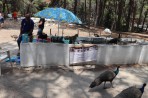 Plaka Forest Tierpark - Insel Kos foto 23