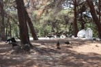 Plaka Forest Tierpark - Insel Kos foto 4