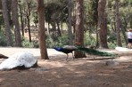 Plaka Forest Tierpark - Insel Kos foto 5