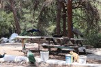 Plaka Forest Tierpark - Insel Kos foto 7